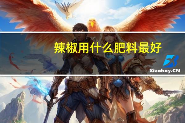 辣椒用什么肥料最好