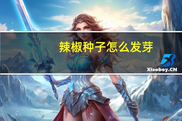 辣椒种子怎么发芽