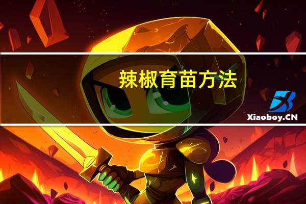 辣椒育苗方法
