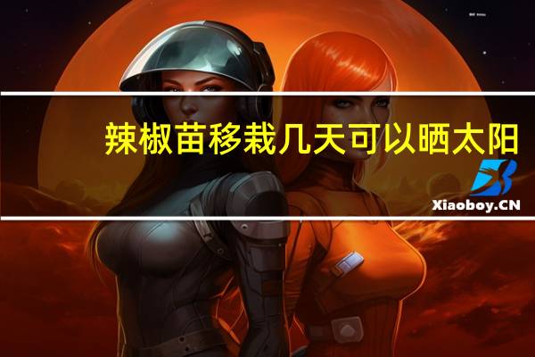 辣椒苗移栽几天可以晒太阳