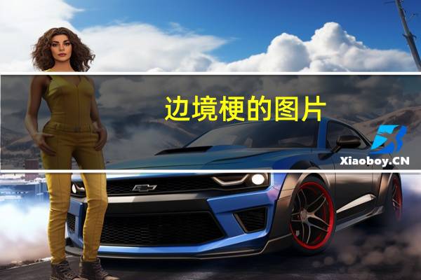 边境梗的图片（边境梗）