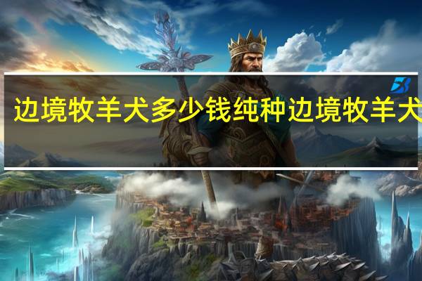 边境牧羊犬多少钱 纯种边境牧羊犬价格