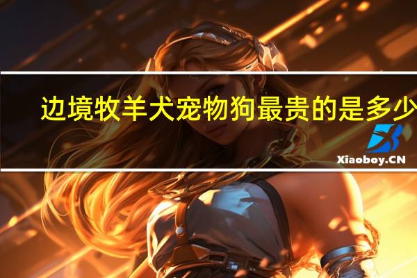 边境牧羊犬宠物狗最贵的是多少元