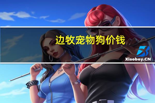 边牧宠物狗价钱