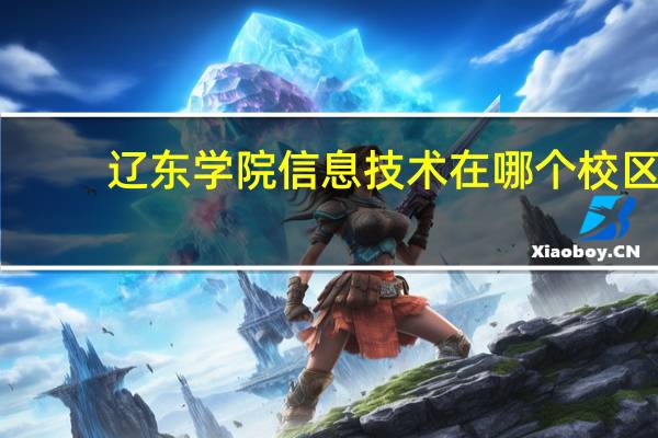 辽东学院信息技术在哪个校区