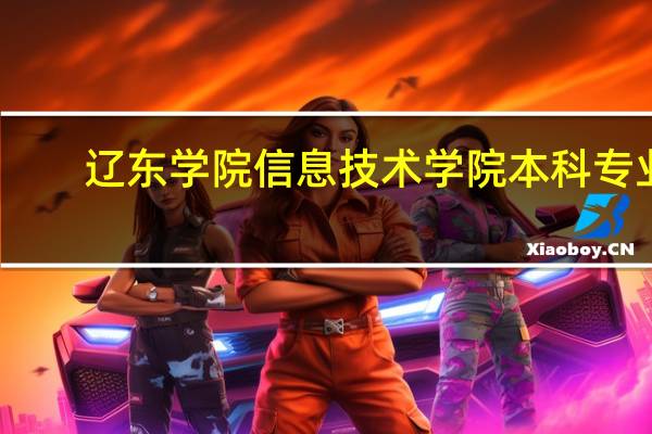 辽东学院信息技术学院本科专业