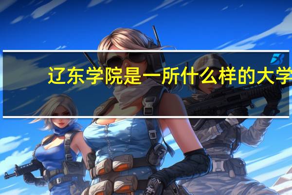 辽东学院是一所什么样的大学