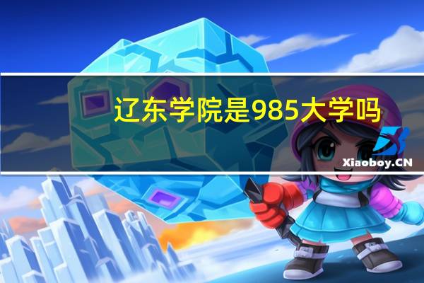 辽东学院是985大学吗