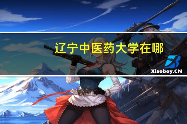 辽宁中医药大学在哪
