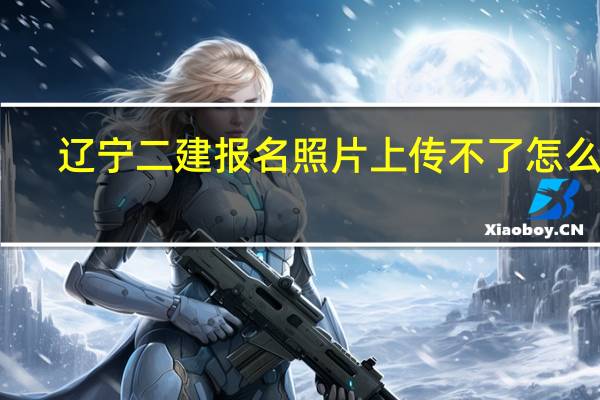 辽宁二建报名照片上传不了怎么办