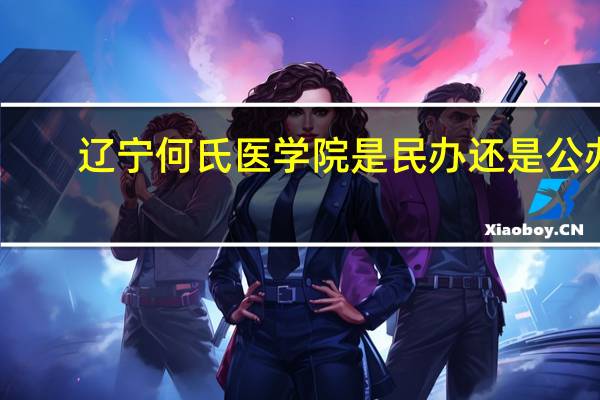 辽宁何氏医学院是民办还是公办