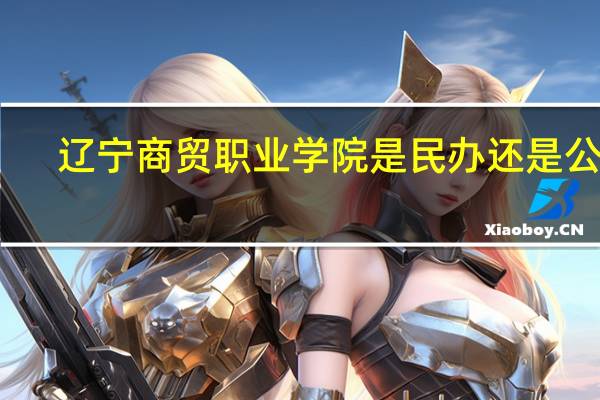 辽宁商贸职业学院是民办还是公办