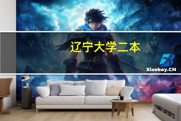 辽宁大学二本