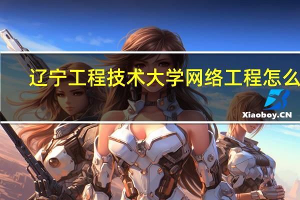 辽宁工程技术大学网络工程怎么样