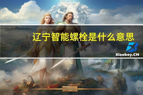 辽宁智能螺栓是什么意思