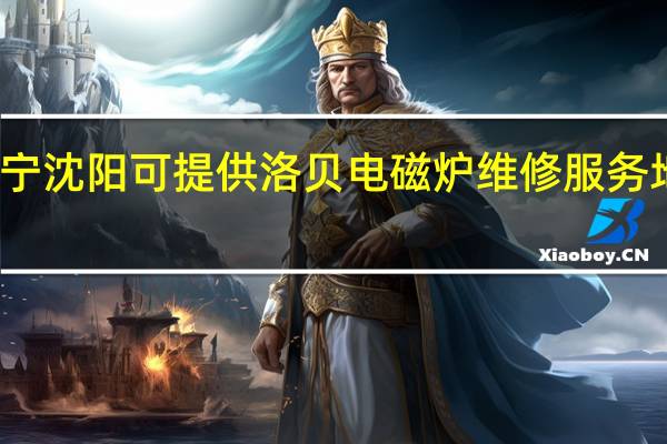 辽宁沈阳可提供洛贝电磁炉维修服务地址在哪