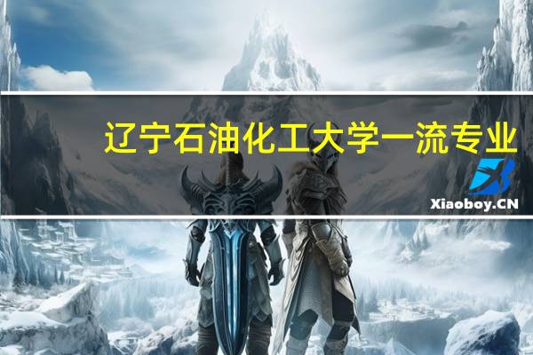 辽宁石油化工大学一流专业