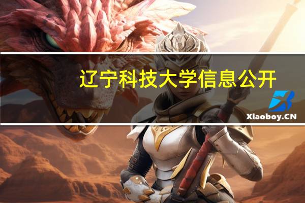 辽宁科技大学信息公开（辽宁科技大学信息技术学院简介）