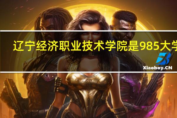辽宁经济职业技术学院是985大学吗