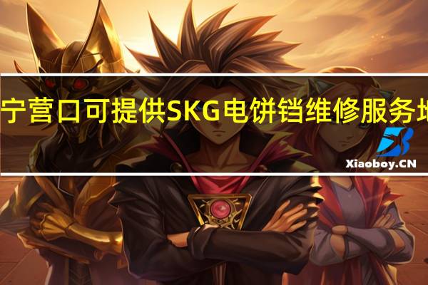 辽宁营口可提供SKG电饼铛维修服务地址在哪