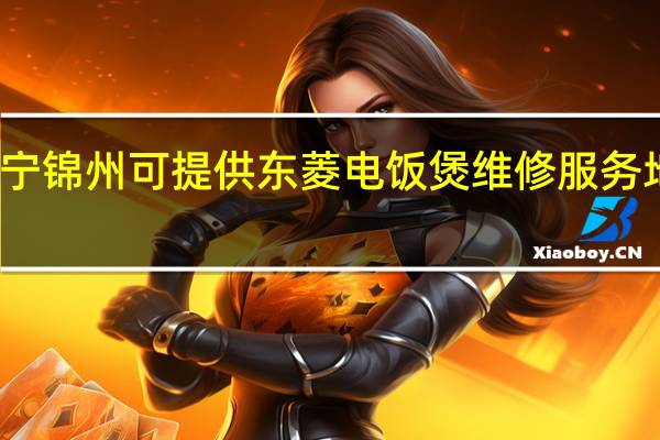辽宁锦州可提供东菱电饭煲维修服务地址在哪