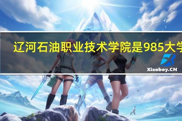 辽河石油职业技术学院是985大学吗
