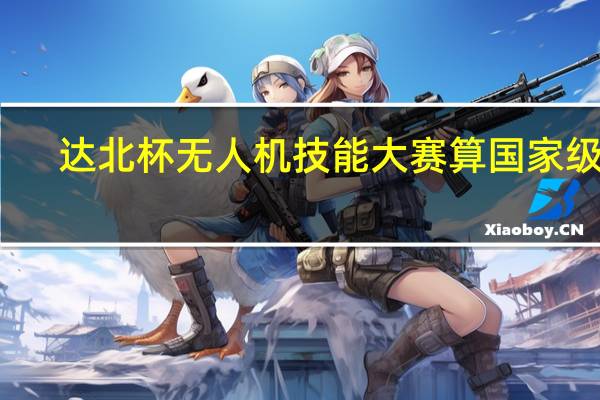达北杯无人机技能大赛算国家级吗