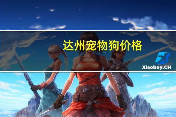 达州宠物狗价格