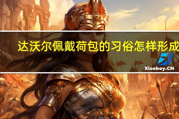 达沃尔佩戴荷包的习俗怎样形成的（德维尔潘D.简介）