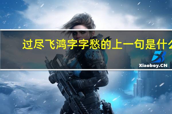 过尽飞鸿字字愁的上一句是什么