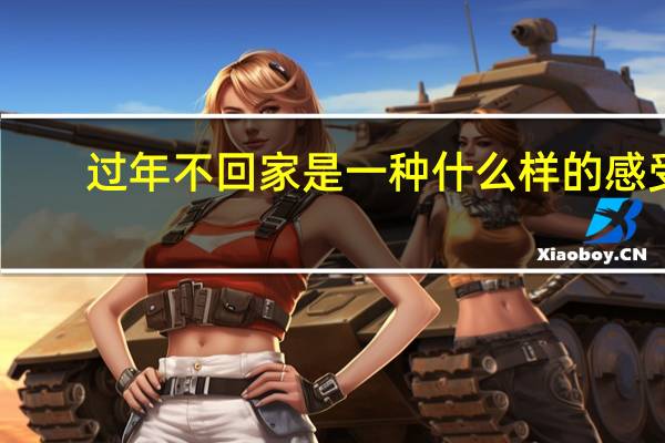 过年不回家是一种什么样的感受