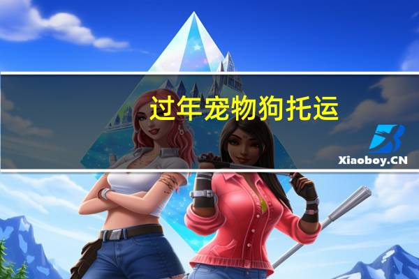 过年宠物狗托运