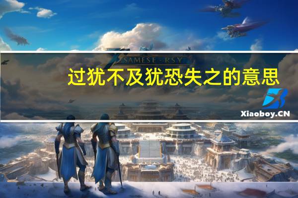 过犹不及犹恐失之的意思