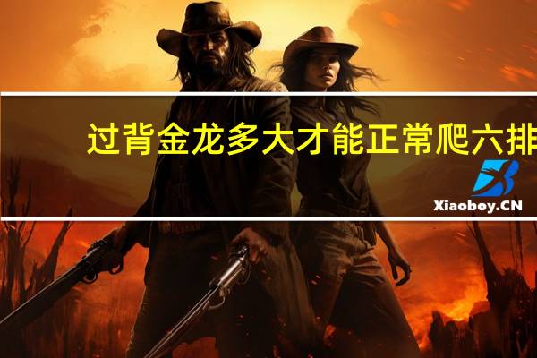 过背金龙多大才能正常爬六排