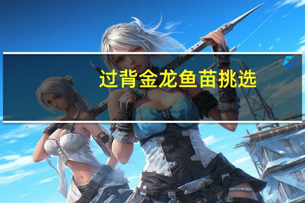 过背金龙鱼苗挑选（过背金龙鱼鱼苗价格）