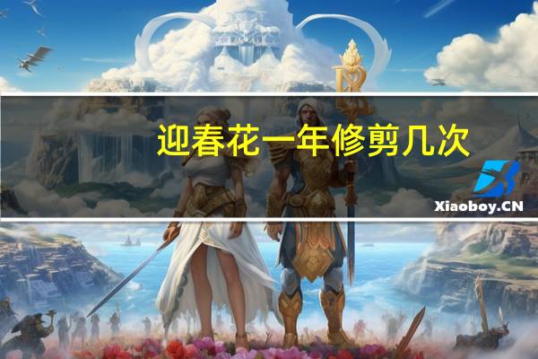 迎春花一年修剪几次