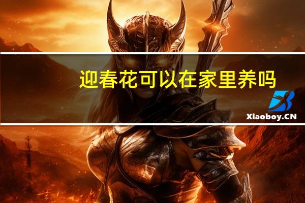 迎春花可以在家里养吗