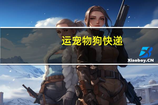 运宠物狗快递