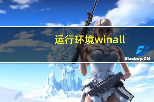 运行环境winall（winall是什么系统）
