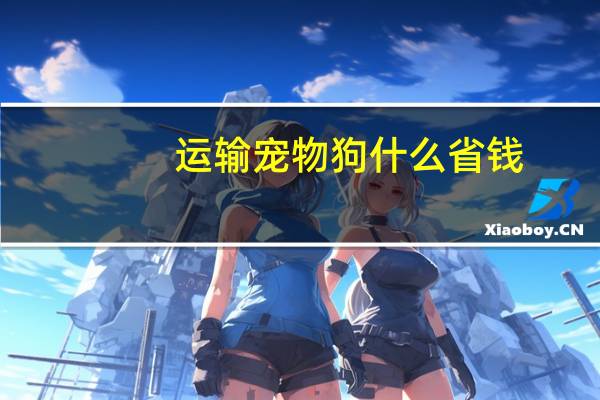 运输宠物狗什么省钱