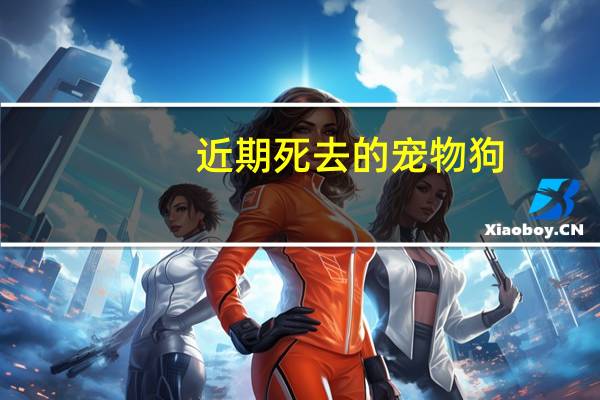 近期死去的宠物狗