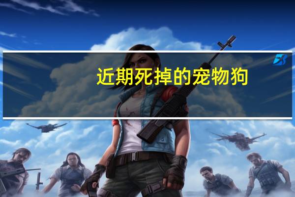 近期死掉的宠物狗