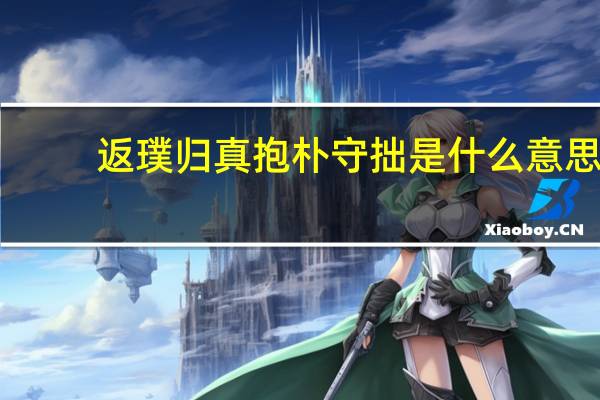 返璞归真抱朴守拙是什么意思（抱朴守拙是什么意思）