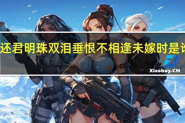 还君明珠双泪垂恨不相逢未嫁时是谁的诗