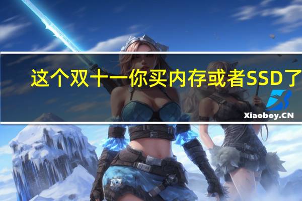 这个双十一你买内存或者SSD了吗