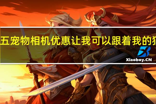 这个黑色星期五宠物相机优惠让我可以跟着我的猫在房子里转来转去