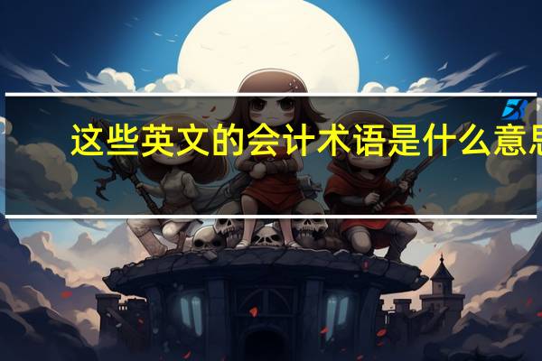 这些英文的会计术语是什么意思