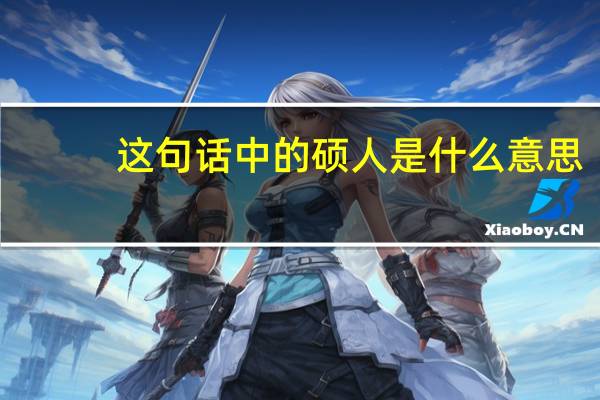 这句话中的硕人是什么意思