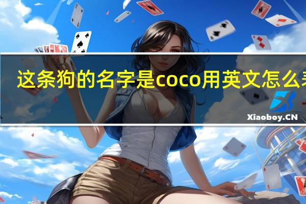 这条狗的名字是coco用英文怎么表达？