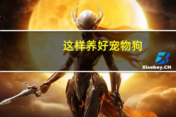 这样养好宠物狗